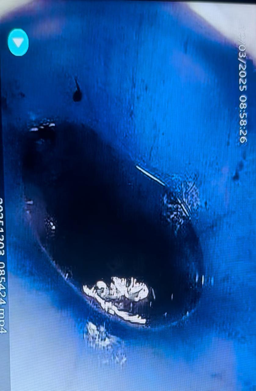 IMG-20251209-WA0040